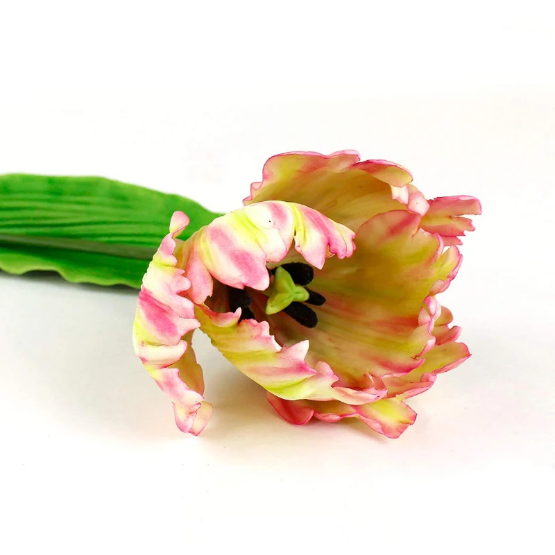 Peony and Tulip Peony Flower Petal Cake Decorating Tool