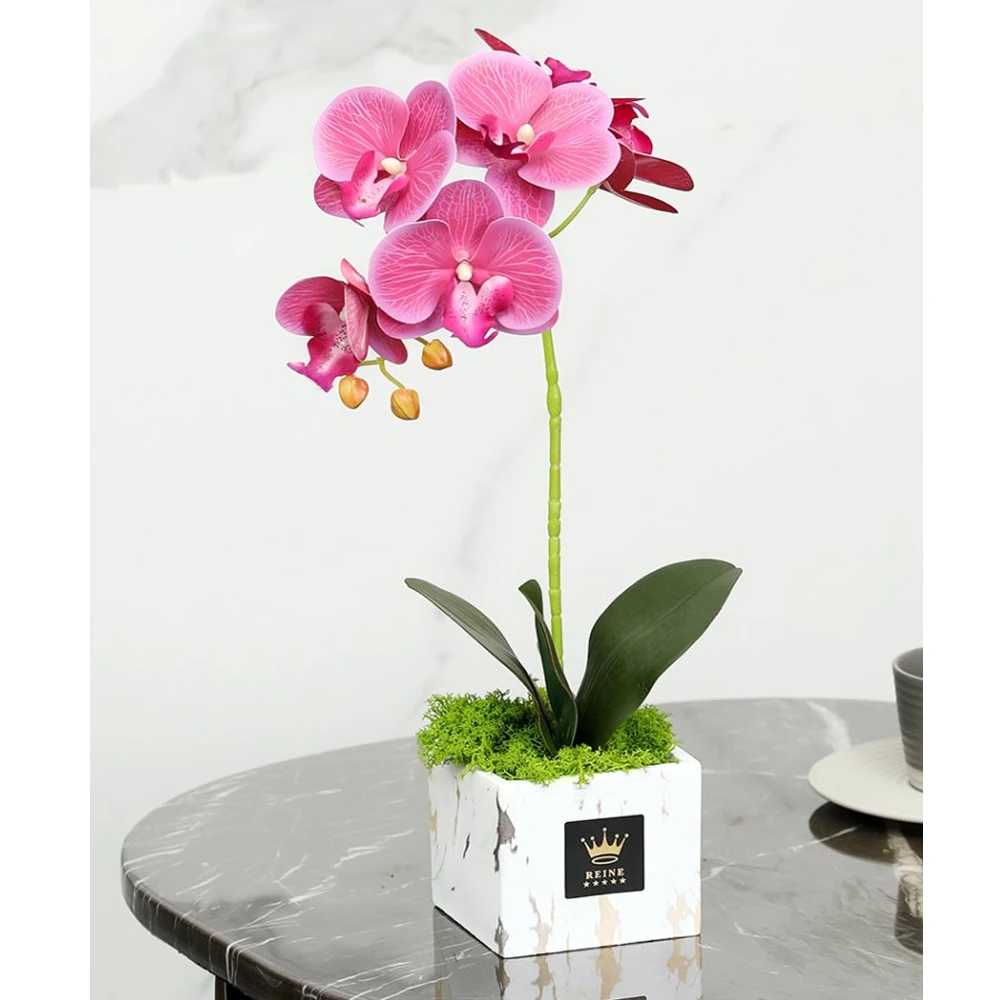 Phalaenopsis Veiner Silicone Mould