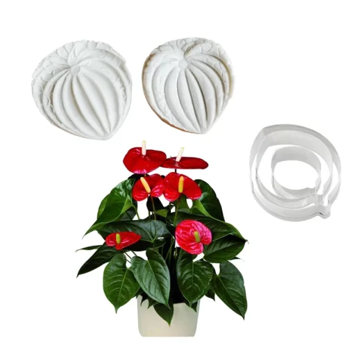 anthurium petals silicone mould