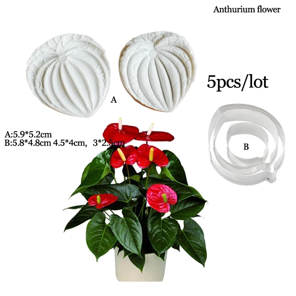 Anthurium Petals Silicone Mould