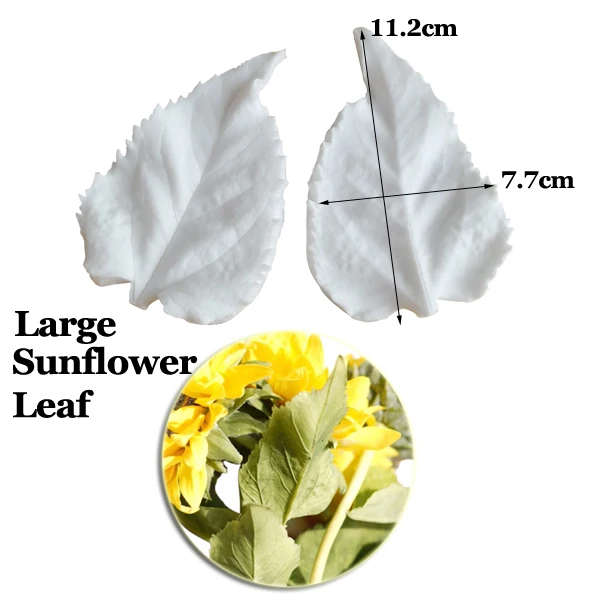 Sunflower Leaf A