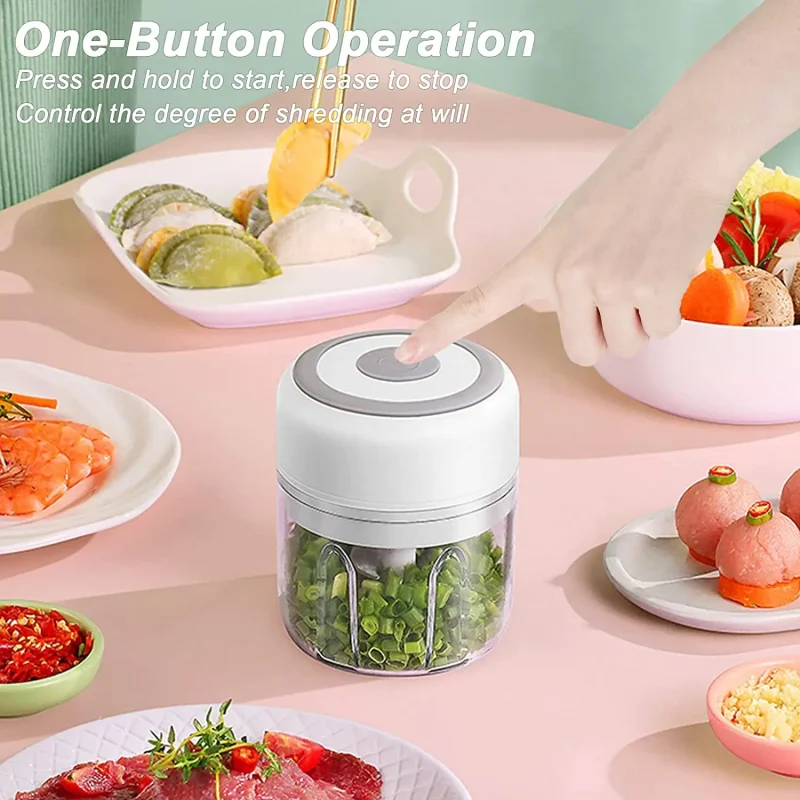 Mini Garlic Vegetable Chopper Machine